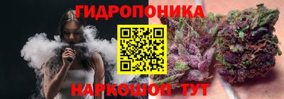 МДПВ Тула