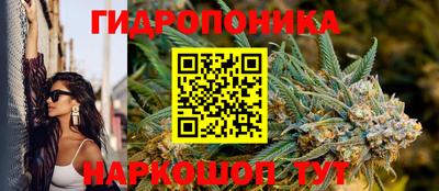 прущие крисы Тверь