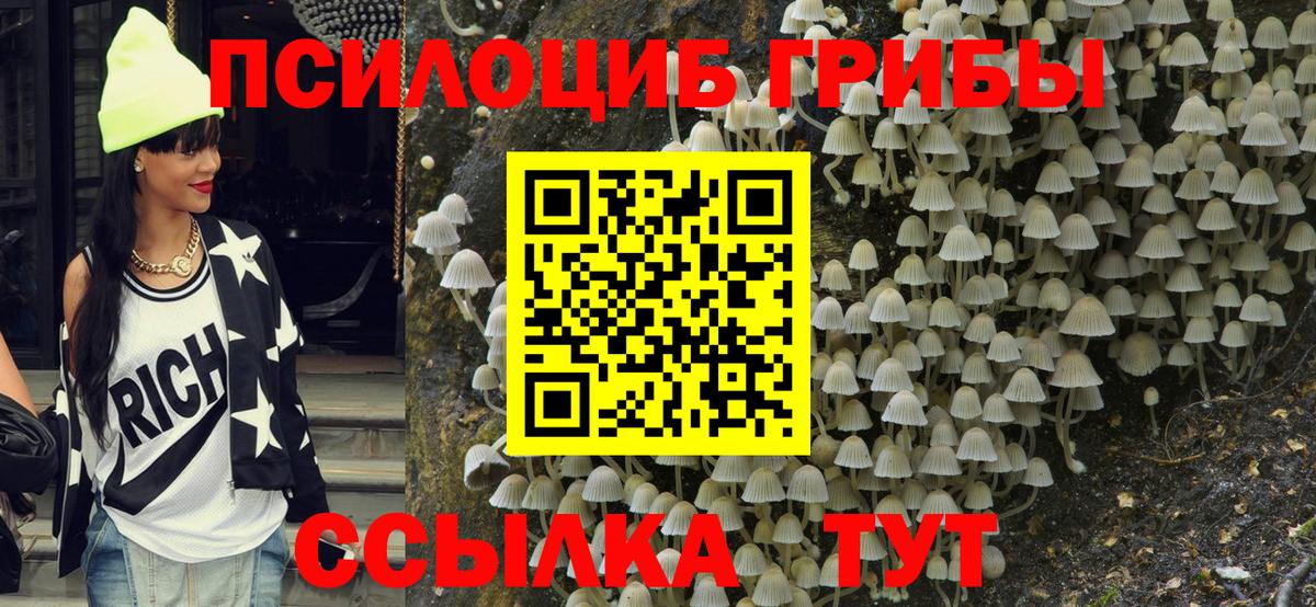 Псилоцибиновые грибы Psilocybine cubensis  Вход с VPN  Новоалтайск 